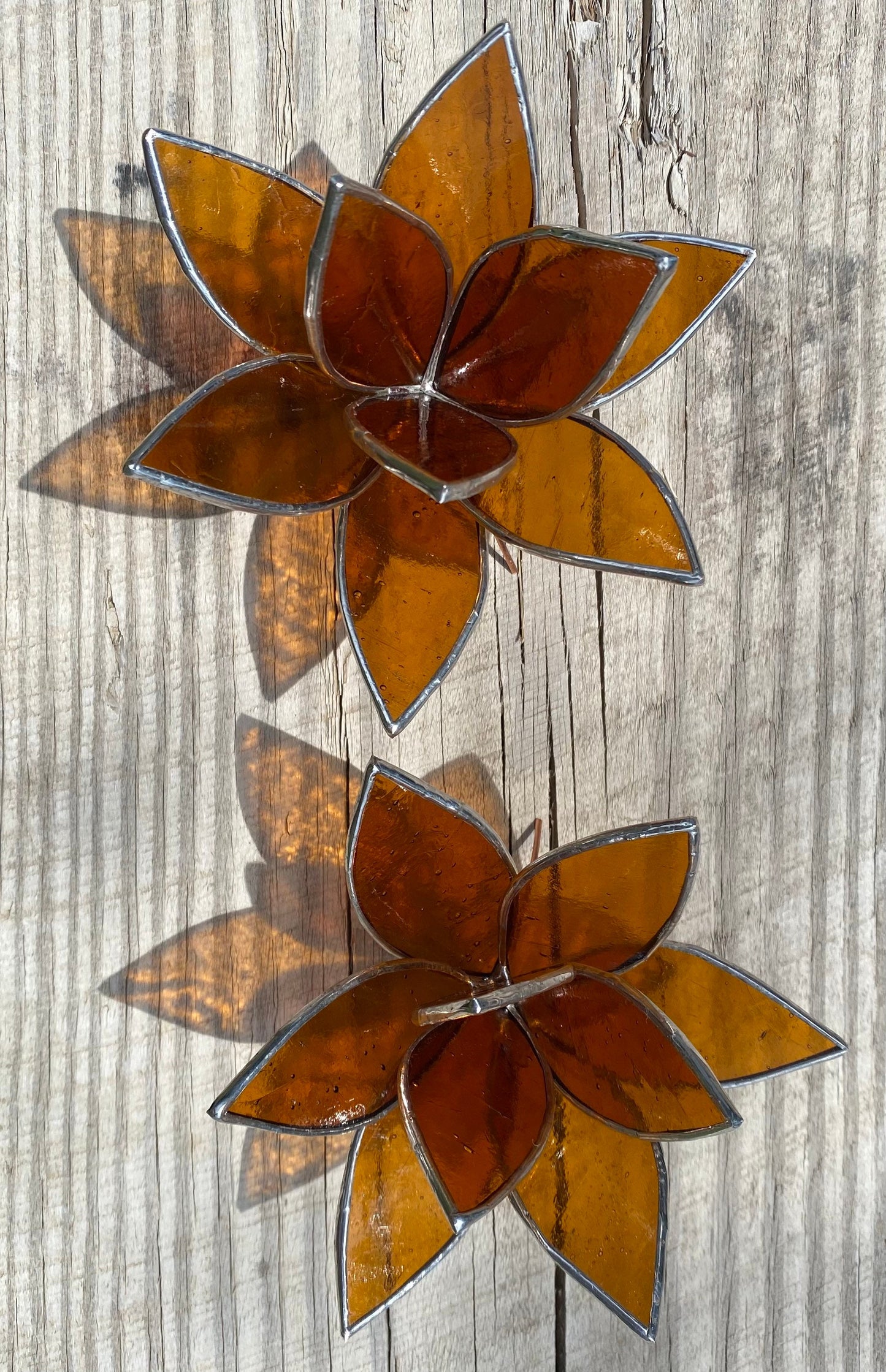 LIMITED EDITION Amber Stained Glass Fall Inspired Succulent Sculpture for plant lovers