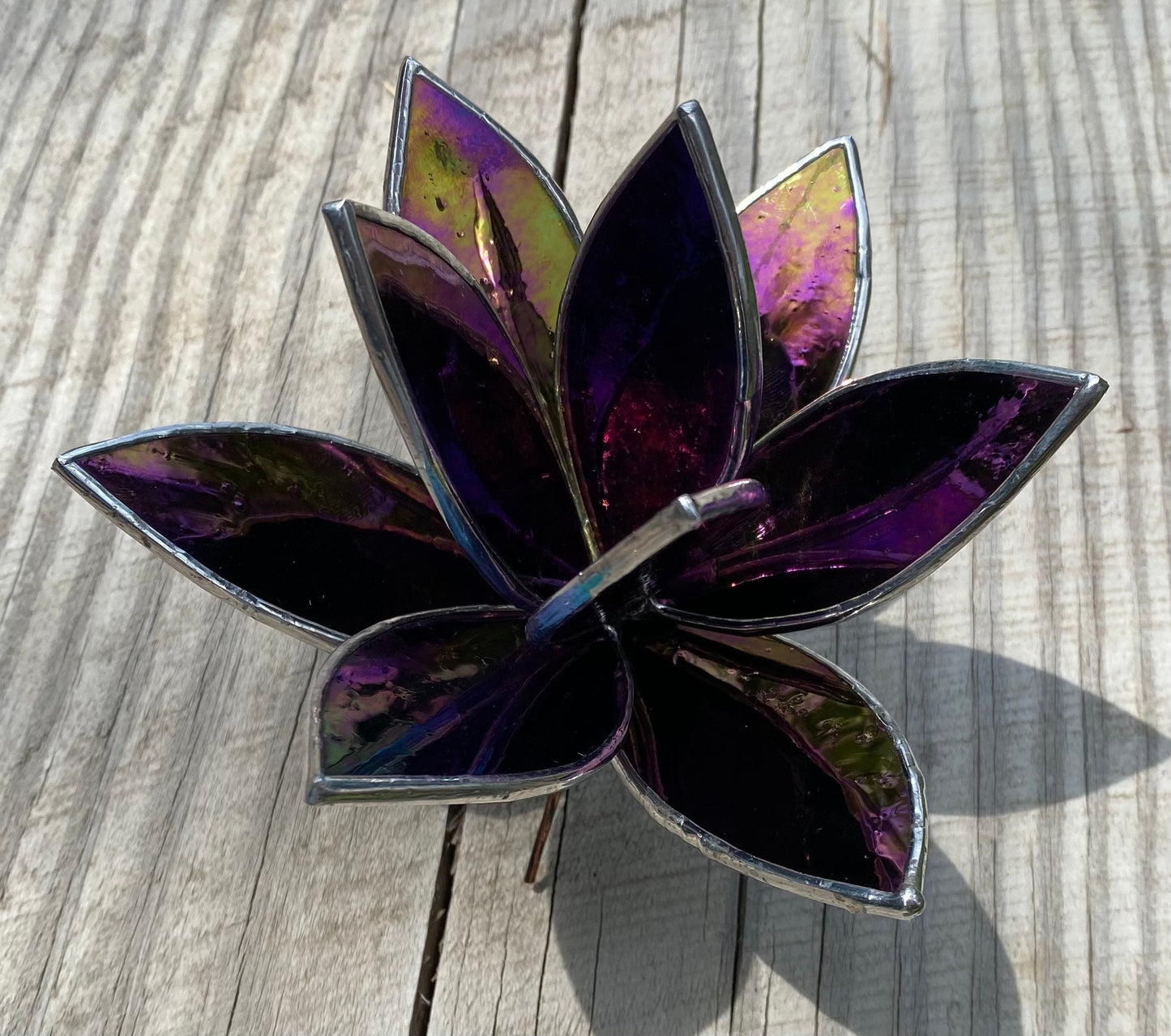 LIMITED EDITION Iridescent Black Opaque Stained Glass Fall Inspired Succulent Sculpture for plant lovers