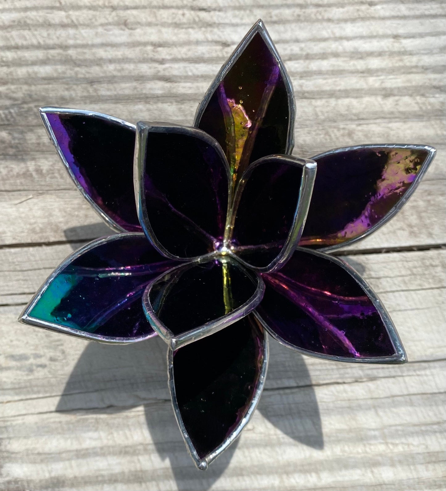 LIMITED EDITION Iridescent Black Opaque Stained Glass Fall Inspired Succulent Sculpture for plant lovers