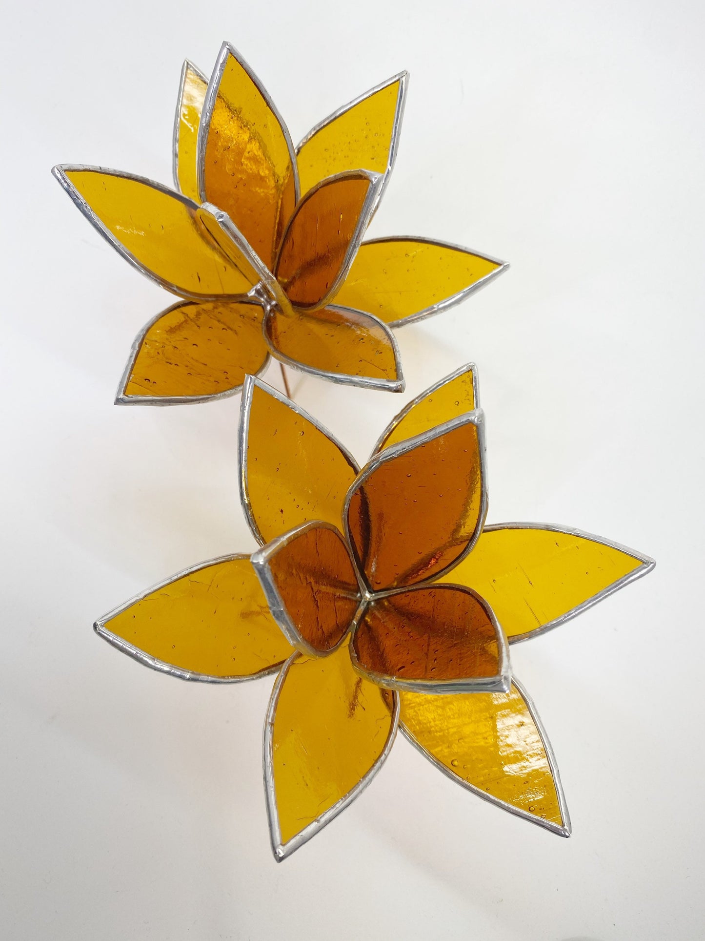 LIMITED EDITION Amber Stained Glass Fall Inspired Succulent Sculpture for plant lovers