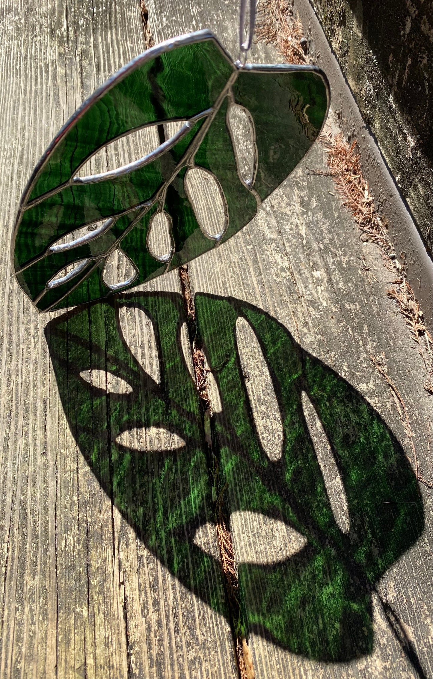 Monstera Adansonii Swiss Cheese Stained Glass Sun Catcher