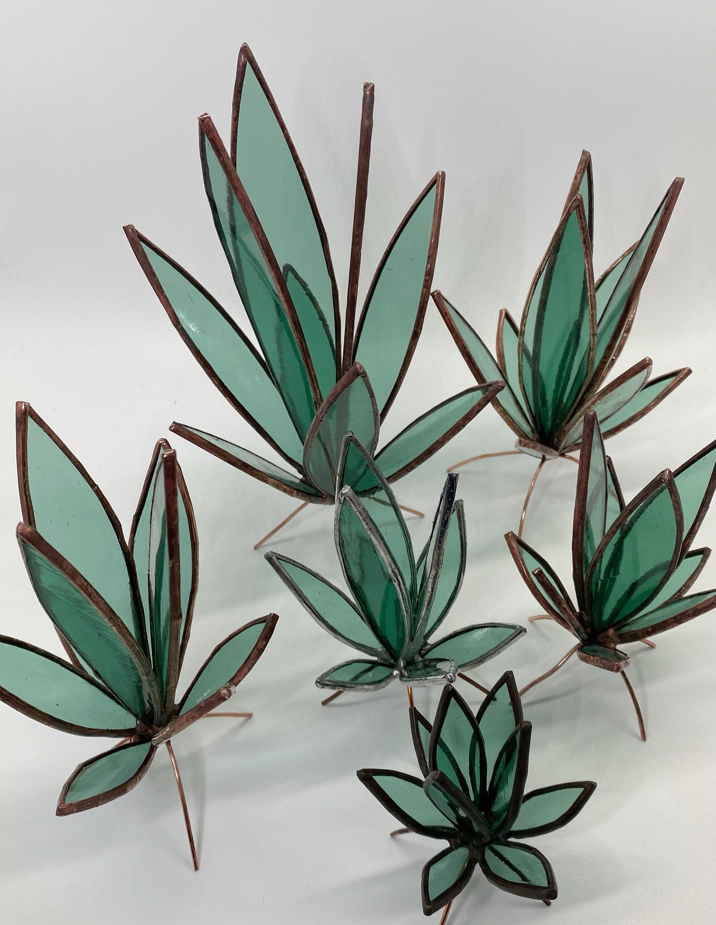 ORIGINAL Stained Glass Snake Plants Succulents