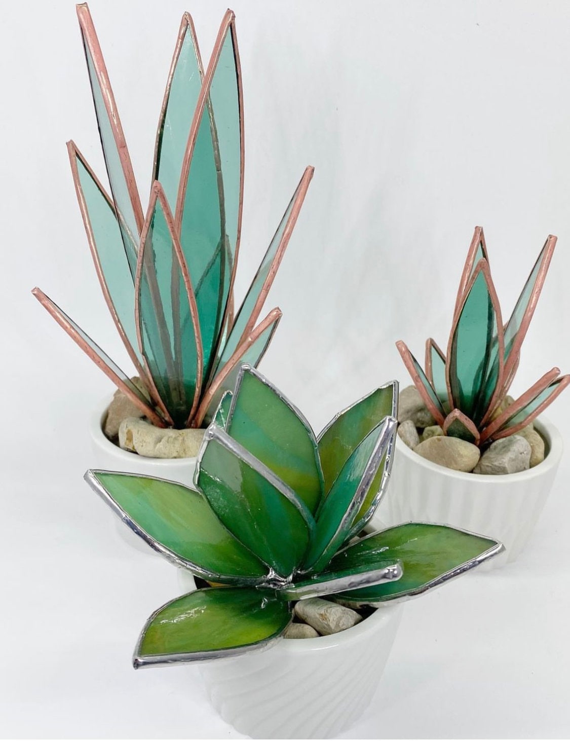 succulents snake plant ORIGINAL Stained Glass Snake Plants Succulents – AG Glass Studio